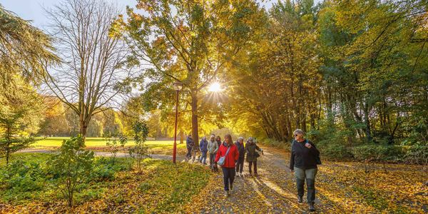 Foto van natuurwandeling door het Te Boelaarpark
